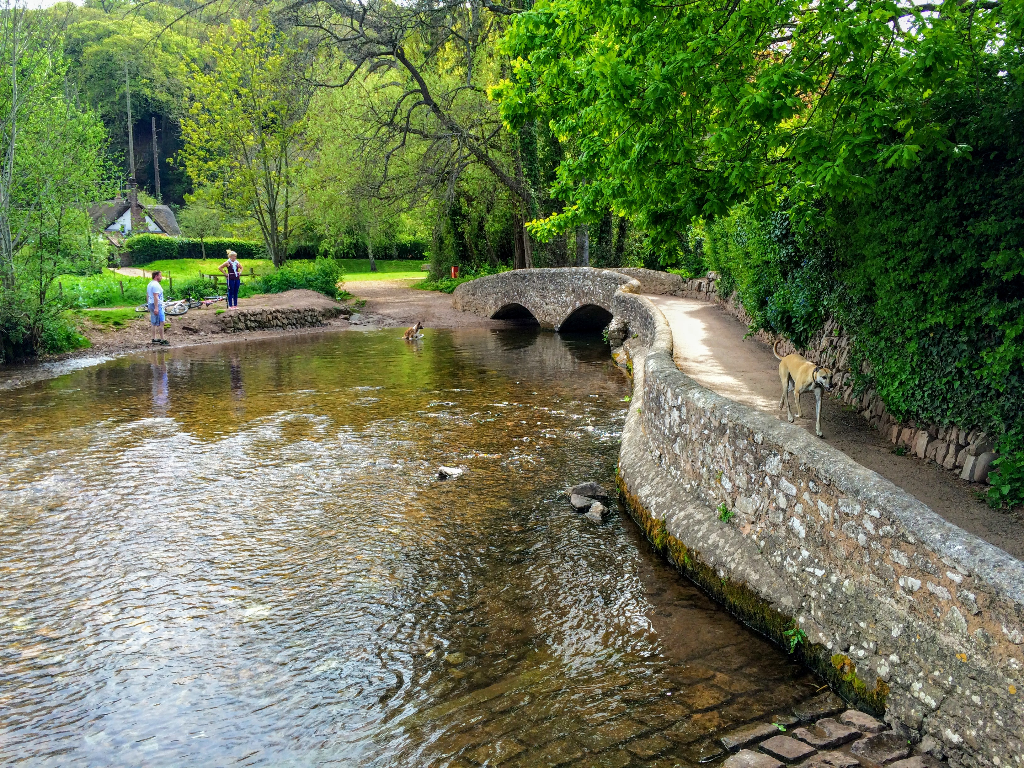 Dunster Circular Walk Moderate Exmoor Walk The Best Of Exmoor Blog