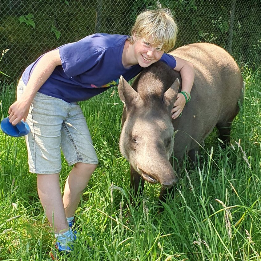 Exmoor Zoo Experience