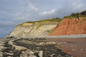 Blue Anchor Beach Cliff with fossils