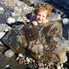 Exploring Fossils on Exmoor