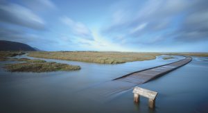 Porlock Marsh boardwalk