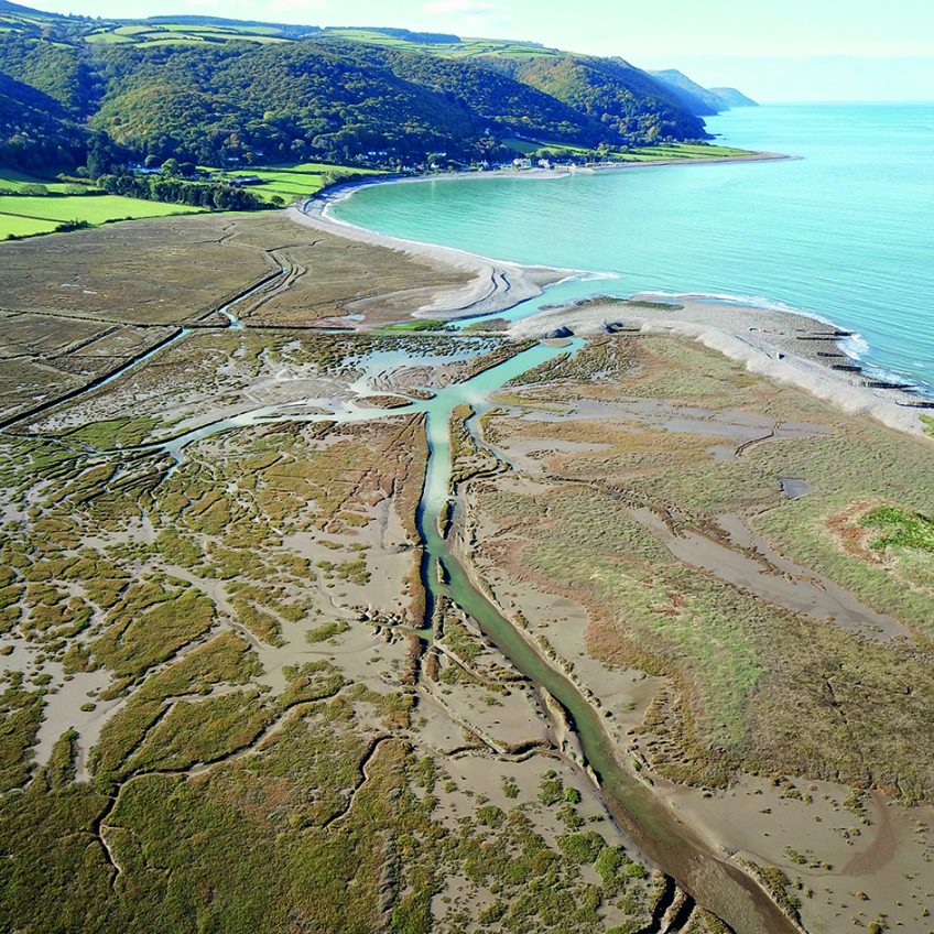 Porlock Marsh’s Coastal Habitat