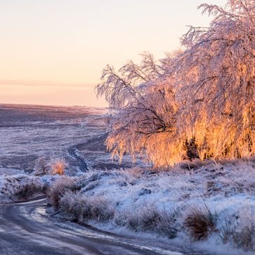 Winter Wonders on Exmoor