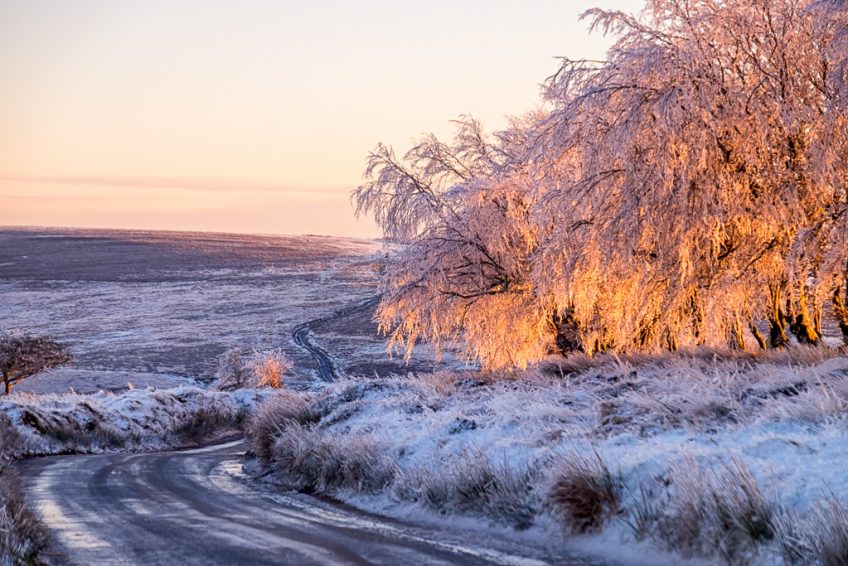 Winter Wonders on Exmoor